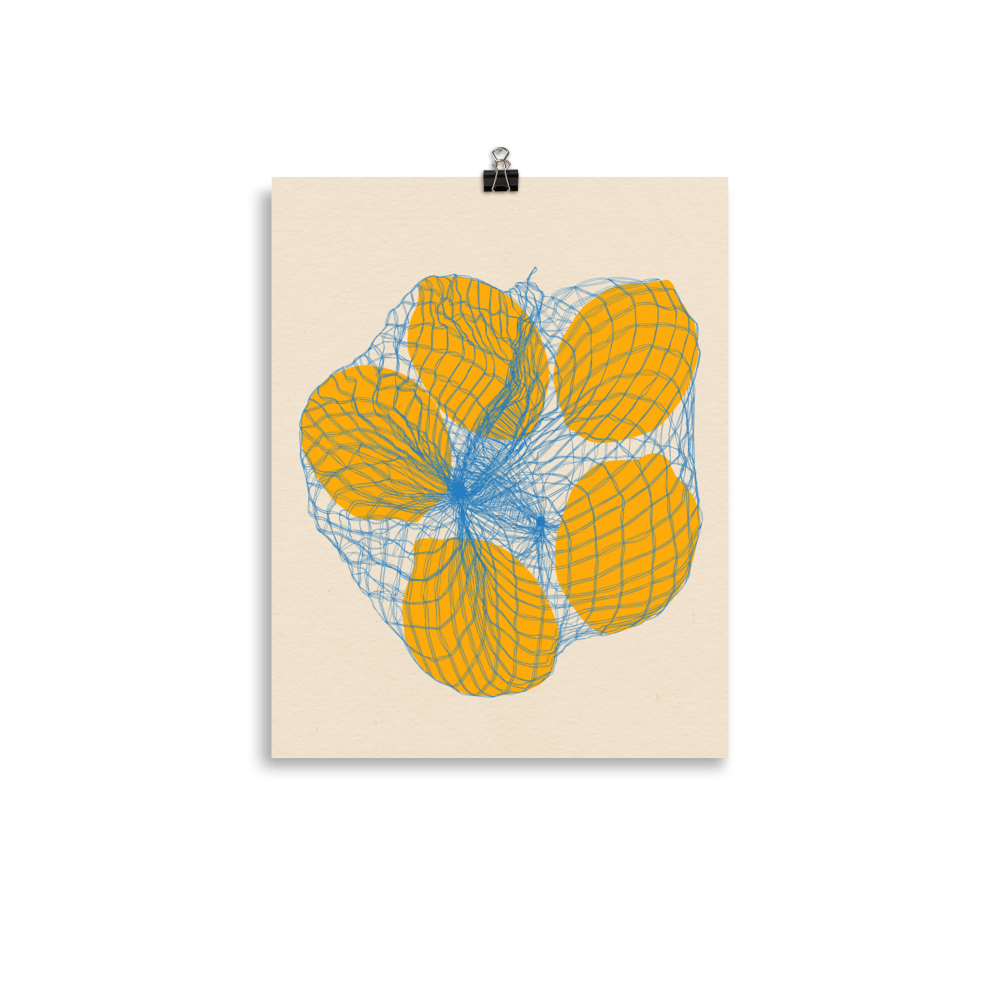 Poster Art Print Illustration – Five Lemons in a net bag (in)