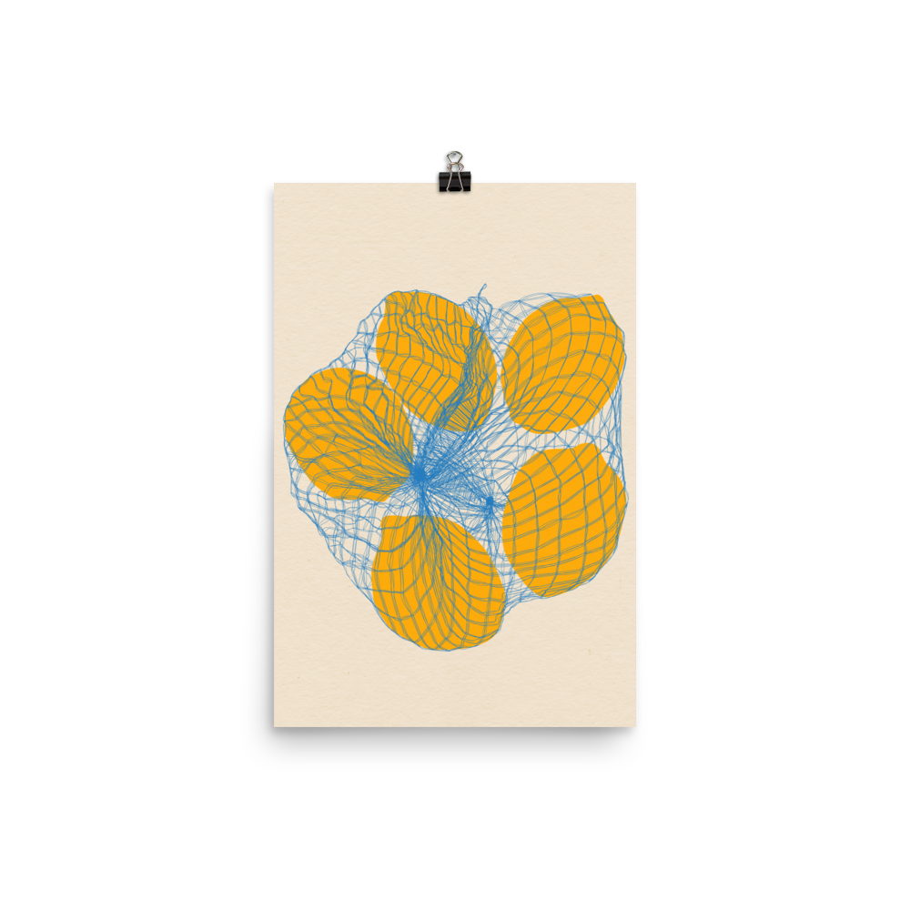 Poster Art Print Illustration – Five Lemons in a net bag (in)