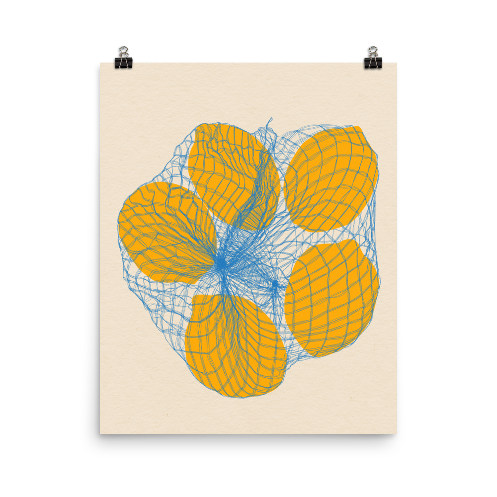 Poster Art Print Illustration – Five Lemons in a net bag (in)