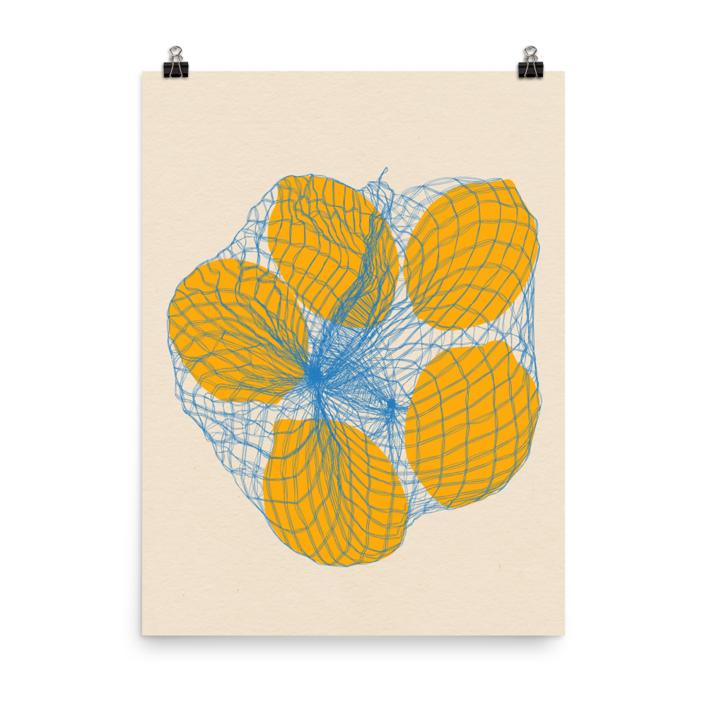 Poster Art Print Illustration – Five Lemons in a net bag (in)