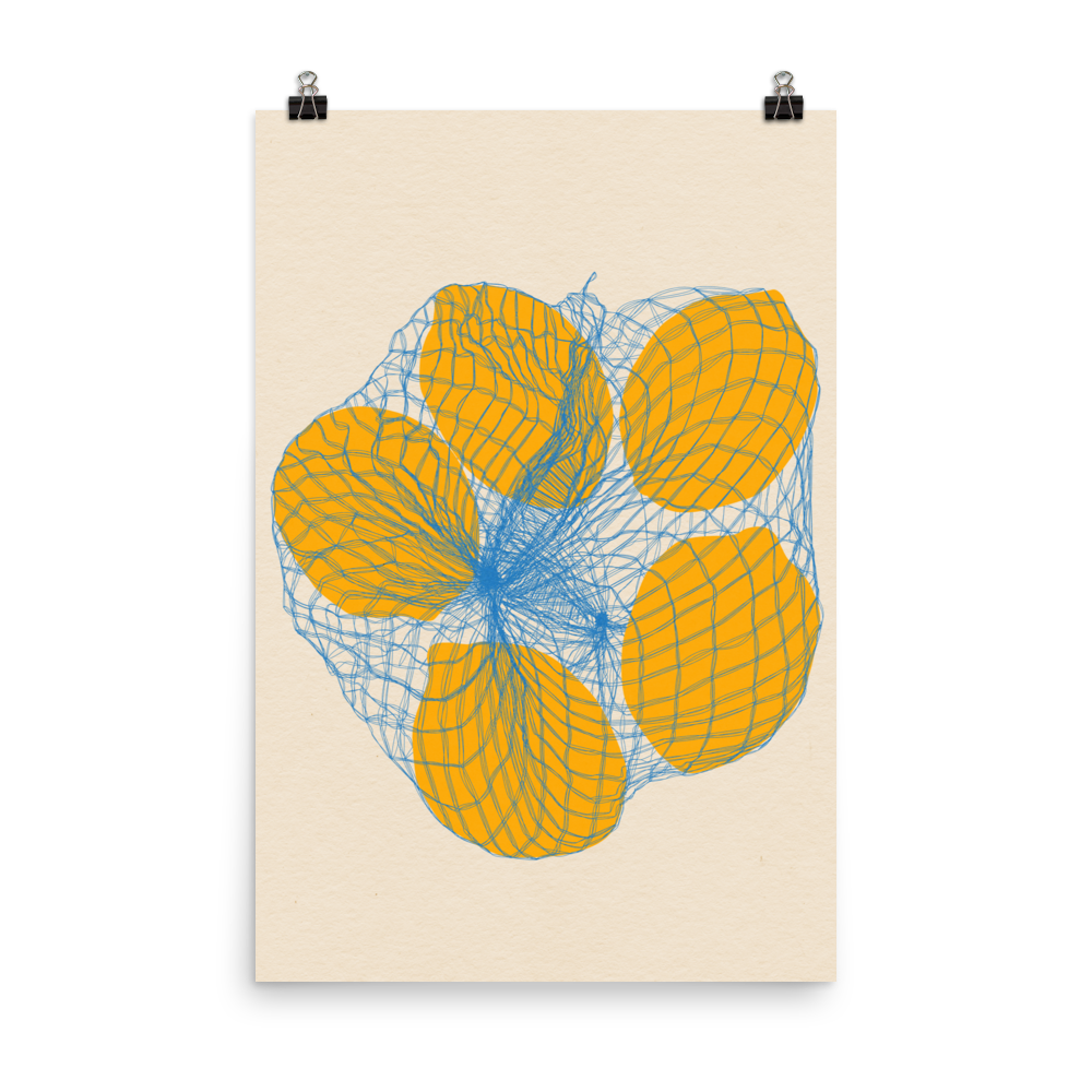 Poster Art Print Illustration – Five Lemons in a net bag (in)