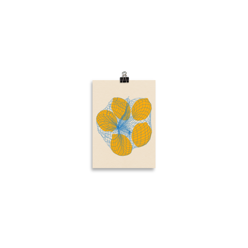 Poster Art Print Illustration – Five Lemons in a net bag (in)