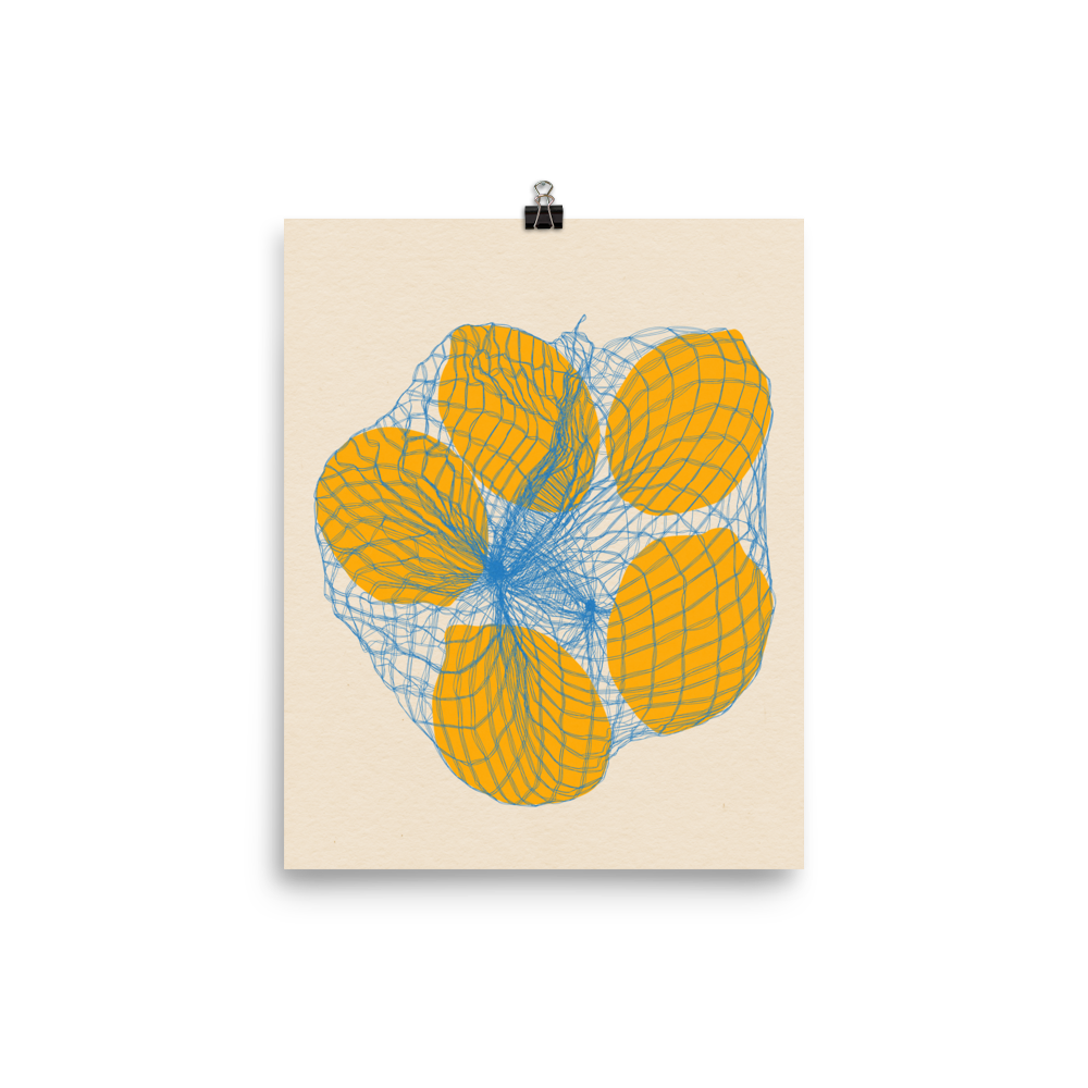 Poster Art Print Illustration – Five Lemons in a net bag (in)