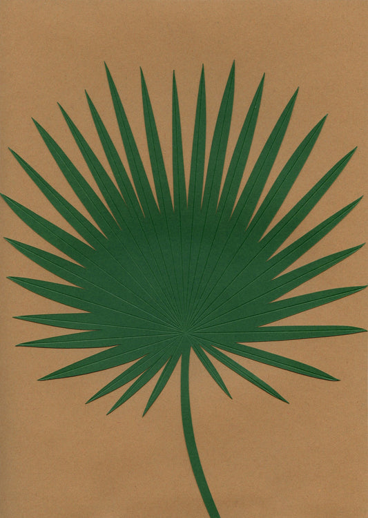 Fan Palm Leaf