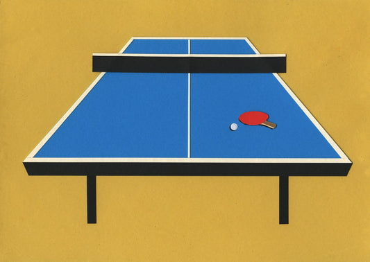 Ping Pong Table