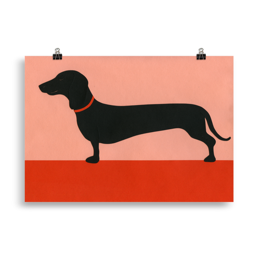 Poster Art Print Illustration – Dachshund Rosi